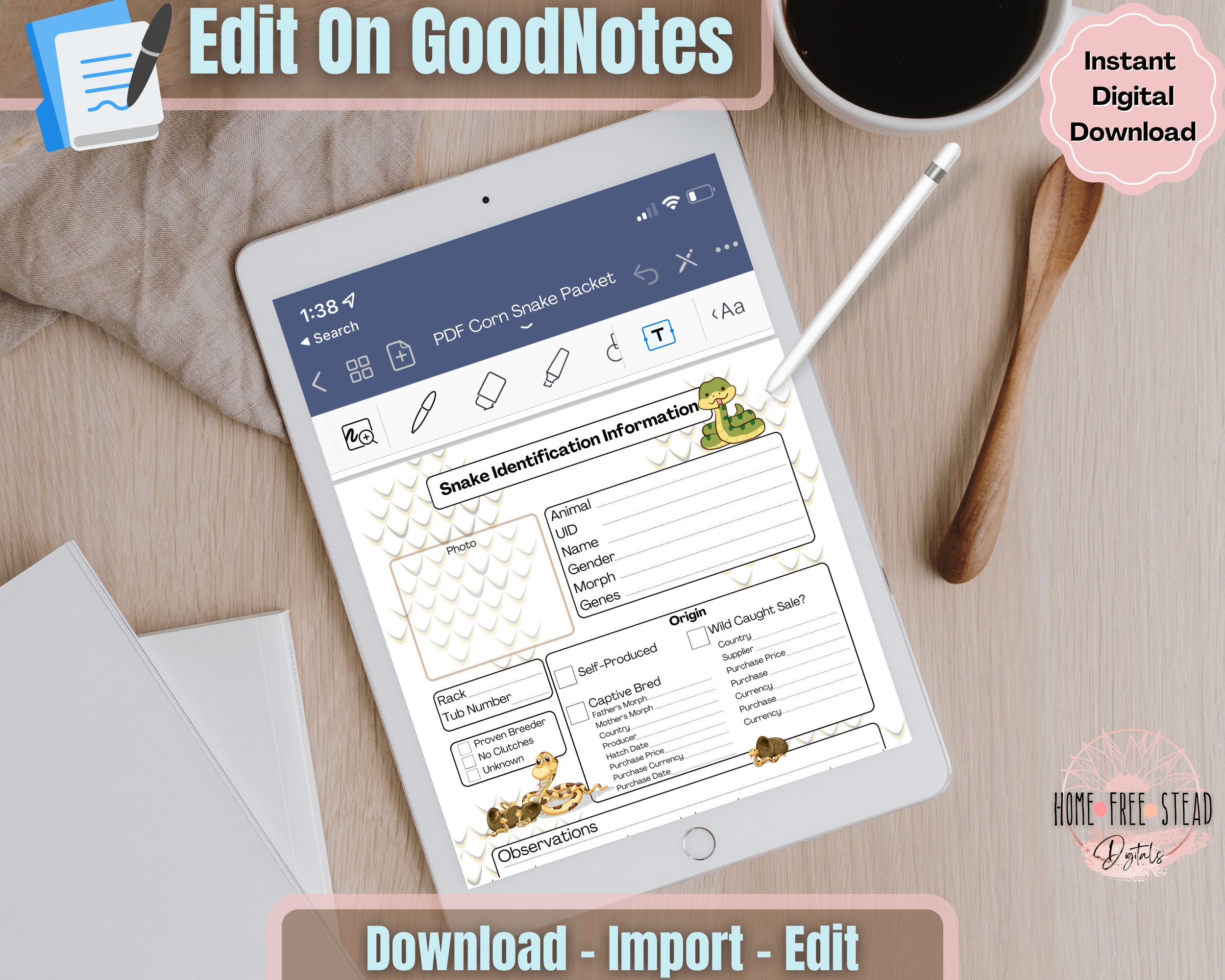 Corn Snake Adoption Success PDF, Reptile Breeder, Snake Breeder Pdf