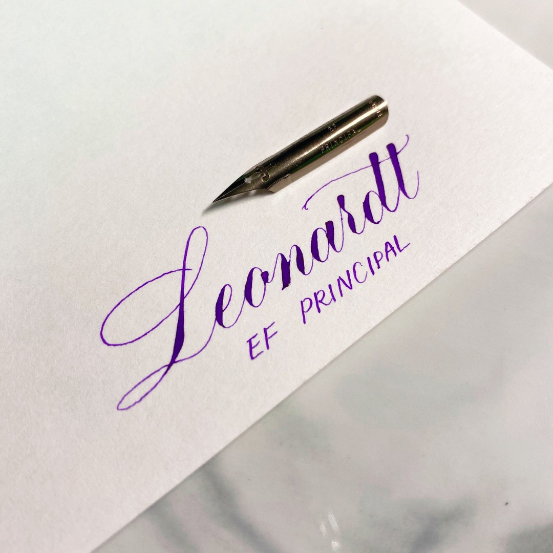 1 or 3 Nibs Leonardt Principal EF - Etsy