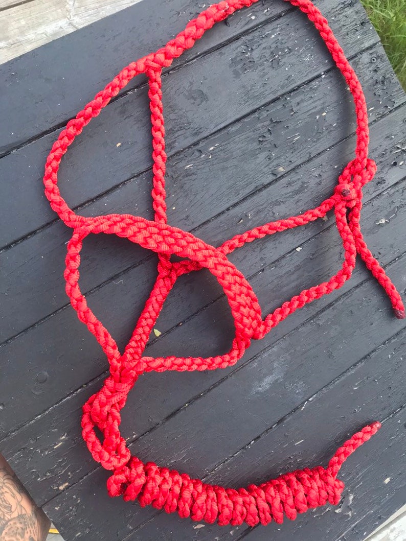 Bright Red Muletape Halter