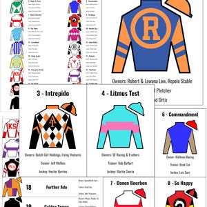 May include: A collection of racing silks, each with unique designs and colors. The silks include a blue and orange design with a large "R", a black and orange diamond pattern, and a light blue top with a pink stripe.
