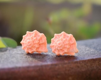 Harsoorbellen oranje schelp