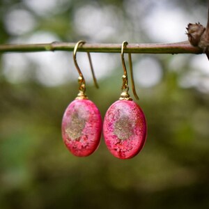 Pink & Gold Resin Petri Dish Earrings | Gold-Plated Sterling Silver Hooks