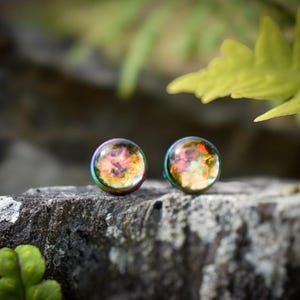 May include: A pair of iridescent stud earrings with a round, multi-coloured design. The earrings are set against a backdrop of a rock and green foliage.