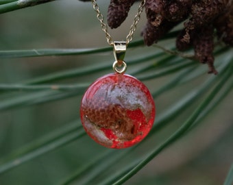 Orange & Gold Resin Pendant Necklace With Real Pine Cone And Gold-Plated Sterling Silver Chain