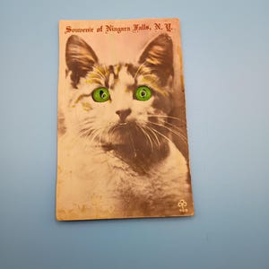 May include: Vintage postcard featuring a sepia-toned cat portrait with striking green eyes. The postcard is labeled "Souvenir of Niagara Falls, N.Y." in red text. The cat's fur is a mix of white and brown, with visible whiskers.