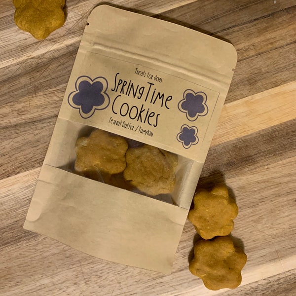 Mini SpringTime Dog Cookies - Pirate Bites