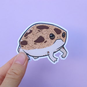 Angry Desert Rain Frog Matte Vinyl Sticker