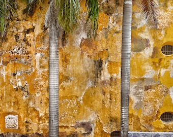 Framed Print - 5x7 inch, 8x12 inch - Yellow Twin Palms - Cartagena, Colombia, Colombian Art, Arte Colombiana