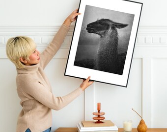 Black and White Llama Print #1 - Machu Picchu, Peru, Peruvian Art, Arte Peruana