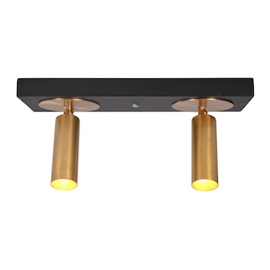 Brass Ceiling Sconce, Adjustable Double Spotlight, Modern Flush Mount Light