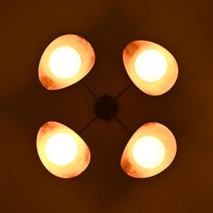 Contemporary Brass Chandelier With Four Globe Lights And Curved Copper Finish Shades, Warm Ambient Lighting