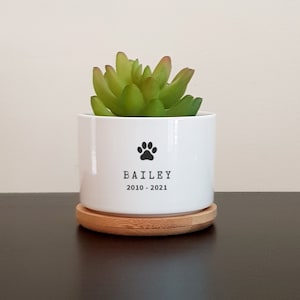Pet Memorial Planter Pot for Succulents, Cacti, Personalized Gift for Pet Loss, Sympathy, Condolences, Memorial Gift for Dog, Cat