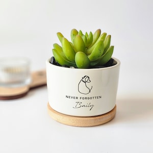 May include: White ceramic planter with a succulent plant and a black line drawing of a dog. The planter has the text "Never Forgotten Bailey" on the front.