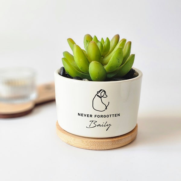 Pet Memorial Planter Pot for Succulents, Cacti, Personalized Gift for Pet Loss, Sympathy, Condolences, Memorial Gift for Dog, Cat