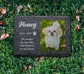 Personalized Pet Memorial Slate Plaque, Indoor & Outdoor Use, Pet Loss Gift for Dog Cat Horse Rabbit, Pawprint Memorial Stone product logo