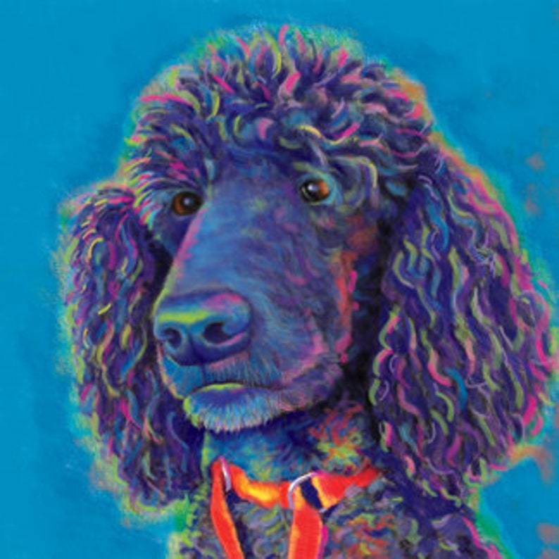 May include: A colorful portrait of a black poodle with a vibrant, multi-colored mane and a red collar. The dog's fur is detailed with shades of blue, purple, and green against a bright blue background. The poodle's eyes are brown.