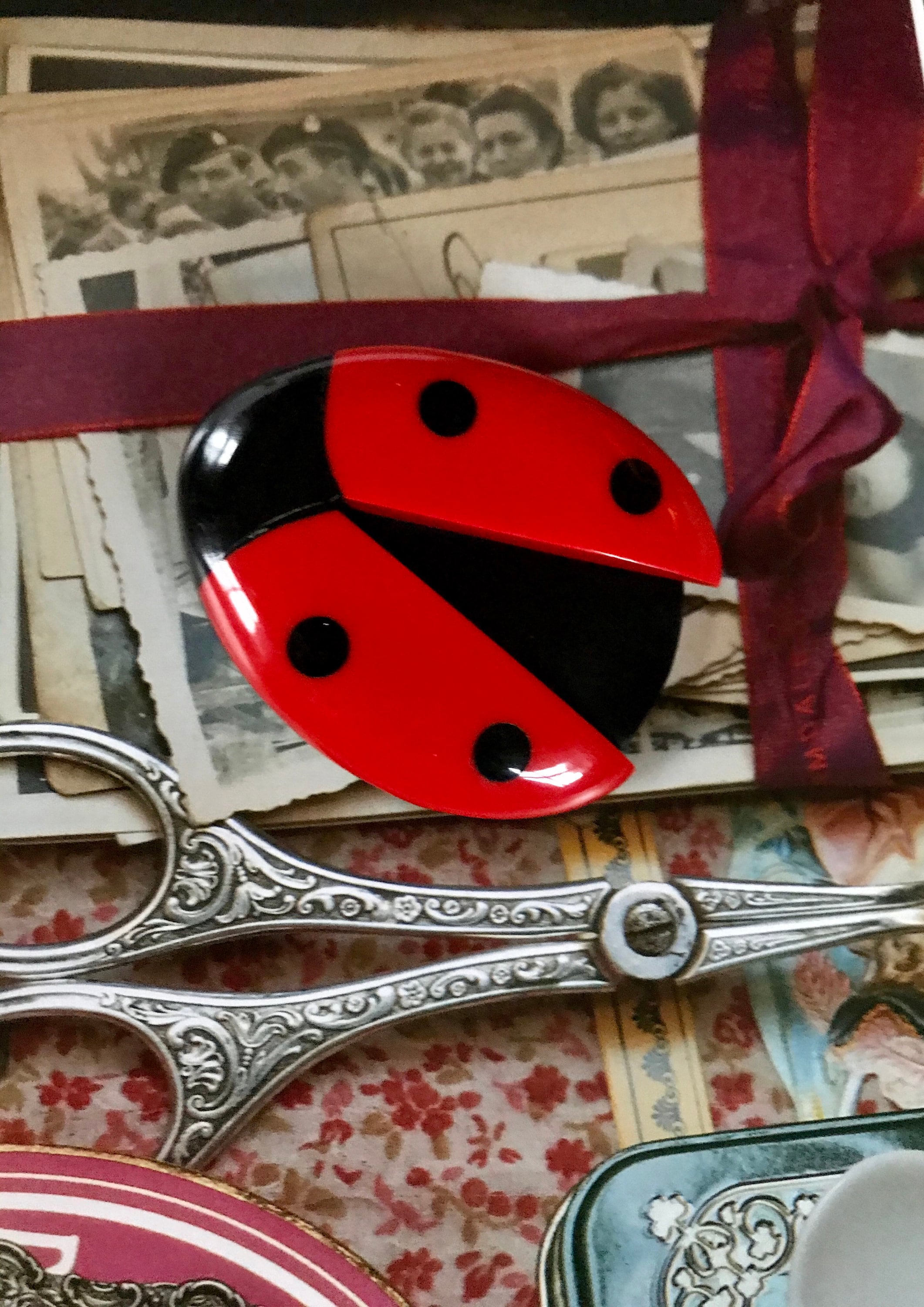 Pin by Tole Kantero on ladybug  Ladybug birthday, Miraculous