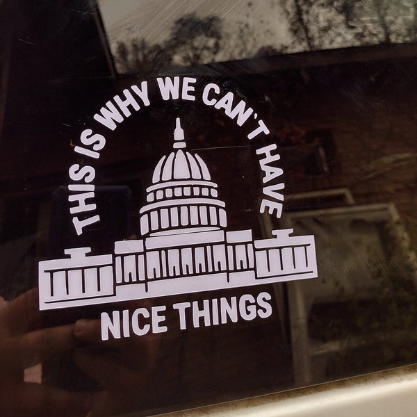 This why we can't have nice things car decal