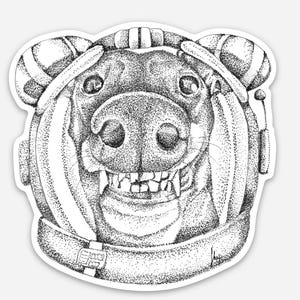 Puede incluir: Una pegatina en blanco y negro con una ilustración detallada de un cerdo con un casco espacial. La cara del cerdo es el punto focal, con dientes visibles y una expresión decidida. El casco tiene detalles a rayas y una correa para la barbilla.