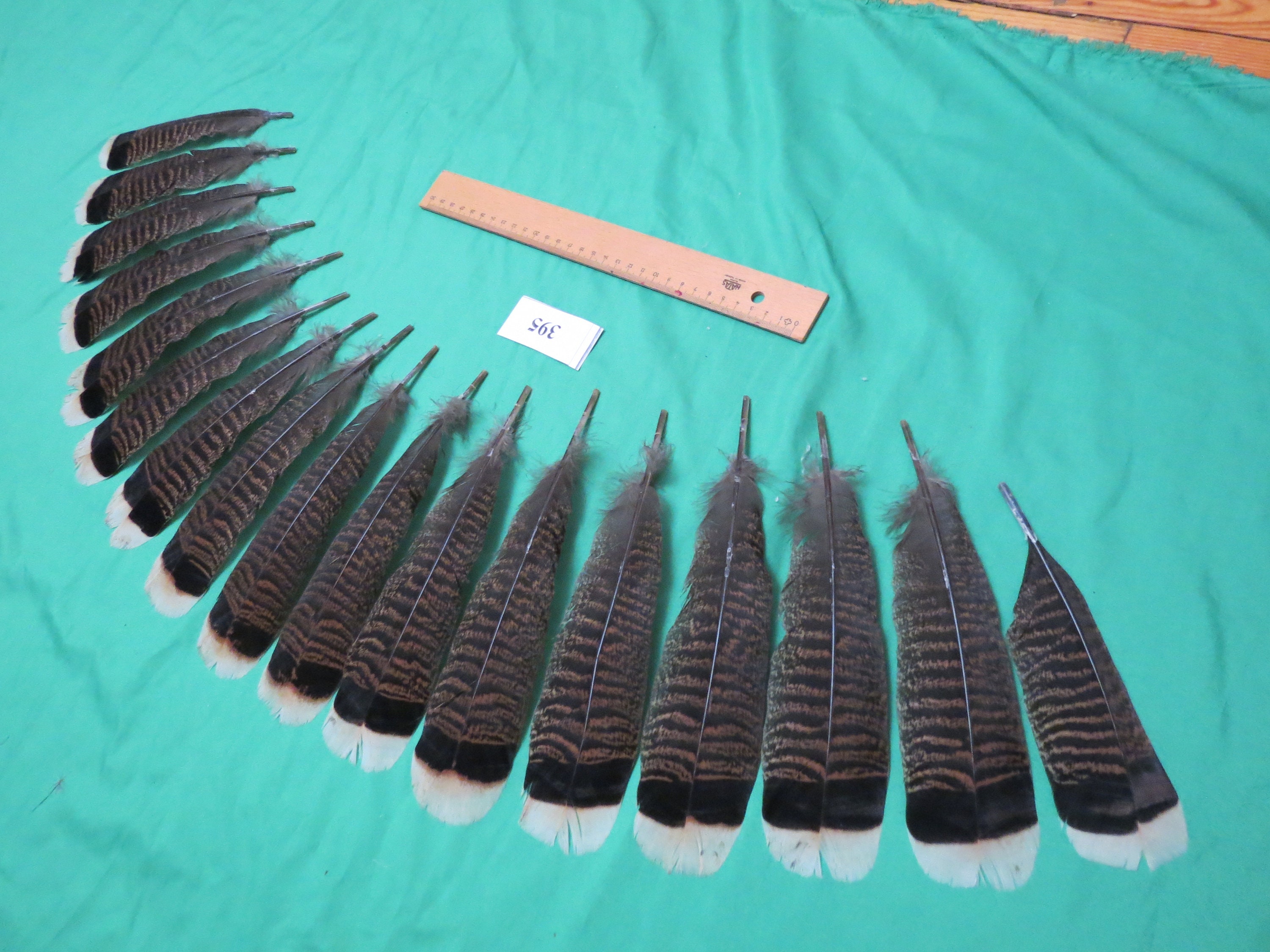 17 pcs Bronze Turkey Tail Feathers Long 1620cm/Fiber Etsy