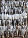 10 Pairs Of Turkey Wing Feathers, Fly tying Material, Hybrid Turkey, Amazing Feathers, Arrow Feathers, Natural Feathers, Geniune feathers product logo