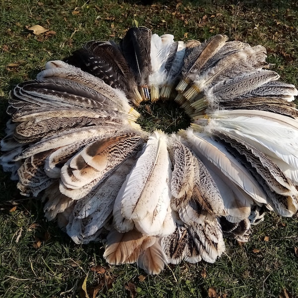 10 paires de plumes d’ailes de dinde, matériel d’attache de mouche, dinde hybride, plumes étonnantes, plumes de flèche, plumes naturelles, plumes Geniune