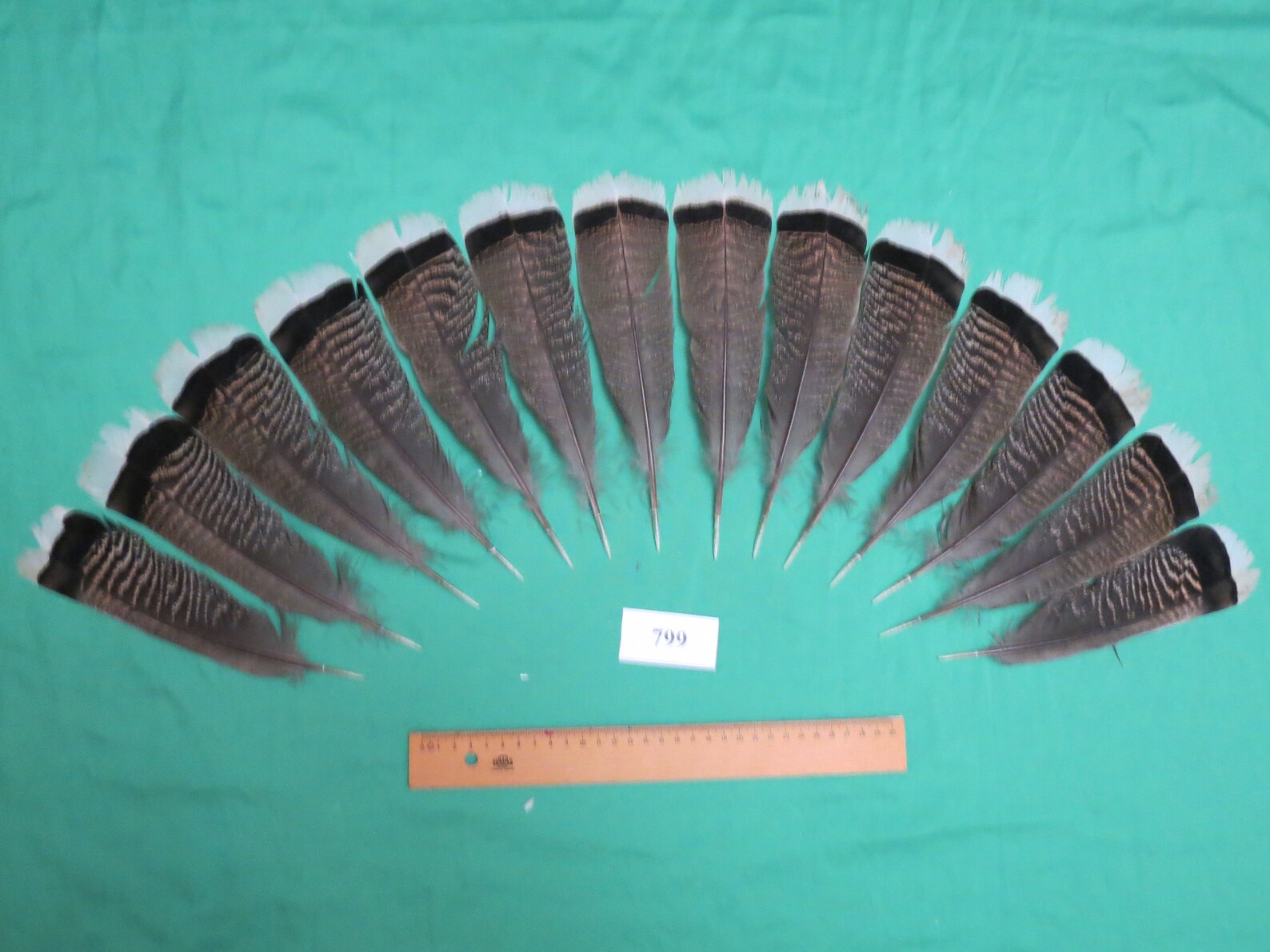 14 pcs Bronze Turkey Tail Feathers Long 1620cm/Fiber Etsy