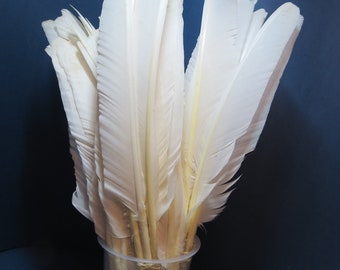 8 Pcs. Turkey Feathers, Wing Feathers, Turkey Biots, White Turkey Feathers, Fly Tying Material, Long Feathers, Natural Feathers, Angel Wings