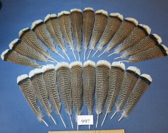 24Pcs. Turkey Feathers, Tail Feathers, Real Feathers, Rare Feathers, Native Feathers, American Native Cultures, Stripped Feathers (997)