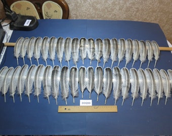 42 Stk. Truthahnfedern, Truthahnflügelfedern, Smudge-Federn, indianische Federn, Fliegenbindematerialien, seltene Federn (1020)