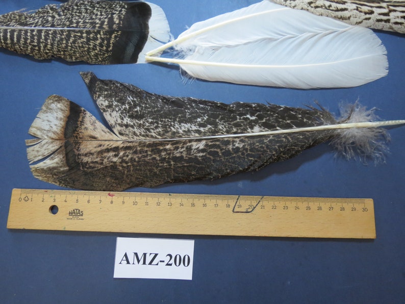 8 Pairs of Turkey Feathers, Tail Feathers, Fly Tying Material, Real Feathers, Indian Native