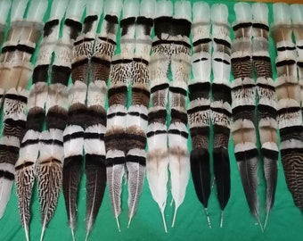 8 Pairs Of. Turkey Feathers,Tail Feathers, Natural Feathers,Watercolor Feathers, Fly Tying Material,Halloween Feathers,Real Feathers