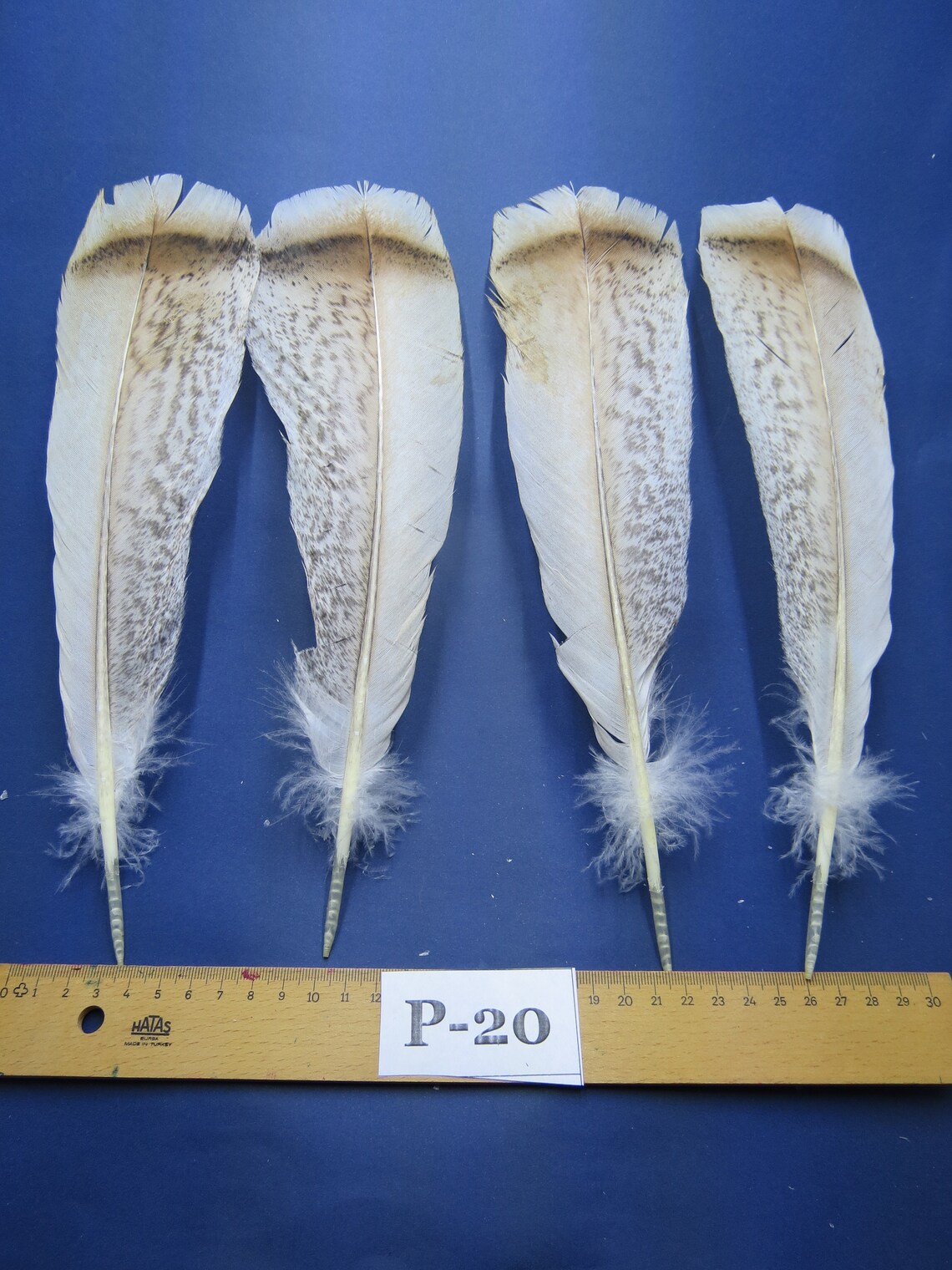 2 pairs Turkey Tail Feathers Long 2026cm/Fiber Etsy