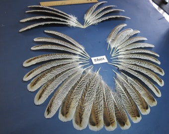 34 Pcs Plumes naturelles d’aile de dinde, matériaux d’attache de mouche, plumes en gros, plumes de mariage, plumes d’accessoires, plumes rares (1092)