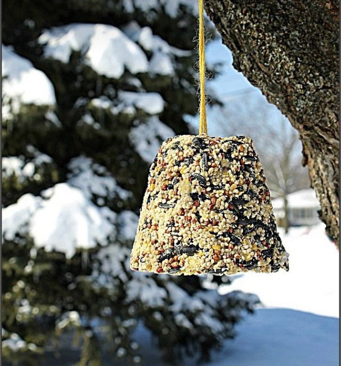 Bell Bird Feeders Wild Bird Food Birds Bells Etsy