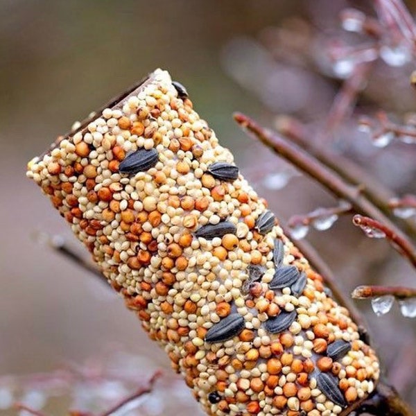 Recycled bird feeders- wild bird food- bird feeder- birds