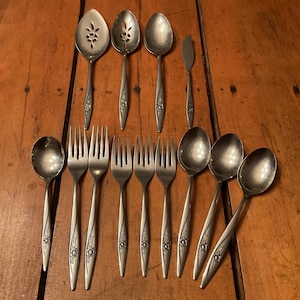 Vintage Oneidacraft Deluxe "Lasting Rose" Stainless - 13 Piece Set
