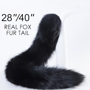 Può includere: Una coda di volpe in vera pelliccia nera, lunga 28 pollici e con una circonferenza di 40 pollici. La coda è esposta su una superficie bianca.
