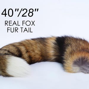 May include: A real fox fur tail, approximately 40 inches long. The tail features a mix of brown, black, and white fur. The tail is curved and lies on a white surface. The text "REAL FOX FUR TAIL" is above the tail.