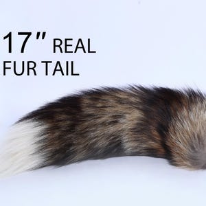 Może przedstawiać: Rzeczywisty ogon z futra o długości 17" z brązowym, czarnym i białym futrem. Ogon jest puszysty i ma białą końcówkę.