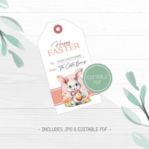 Pink Easter Basket Gift Tags From The Easter Bunny, Printable Kids Easter Basket Tags, Printable Treat Bag Tag
