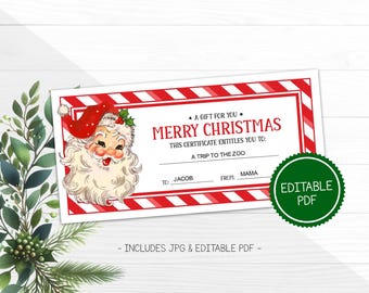 Editable Christmas Gift Certificate Template, Red Personalized Gift Certificate, Gift an Experience Holiday