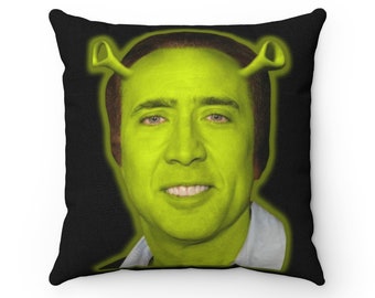 large leather cushion