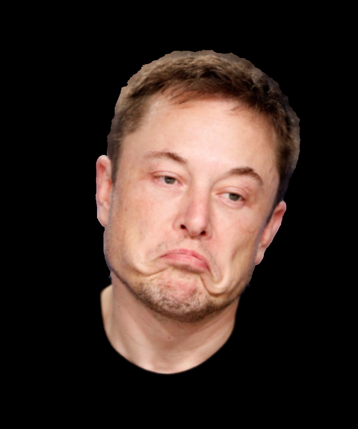 Elon Musk Face Mask Funny Face Mask Washable Unisex Face | Etsy