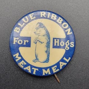 Botón de celuloide con forma de cinta azul antigua con harina de carne para cerdos