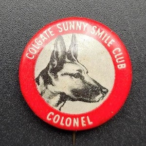 Pin de solapa con botón trasero del club Sunny Smile de Colgate vintage con diseño de perro rojo del coronel
