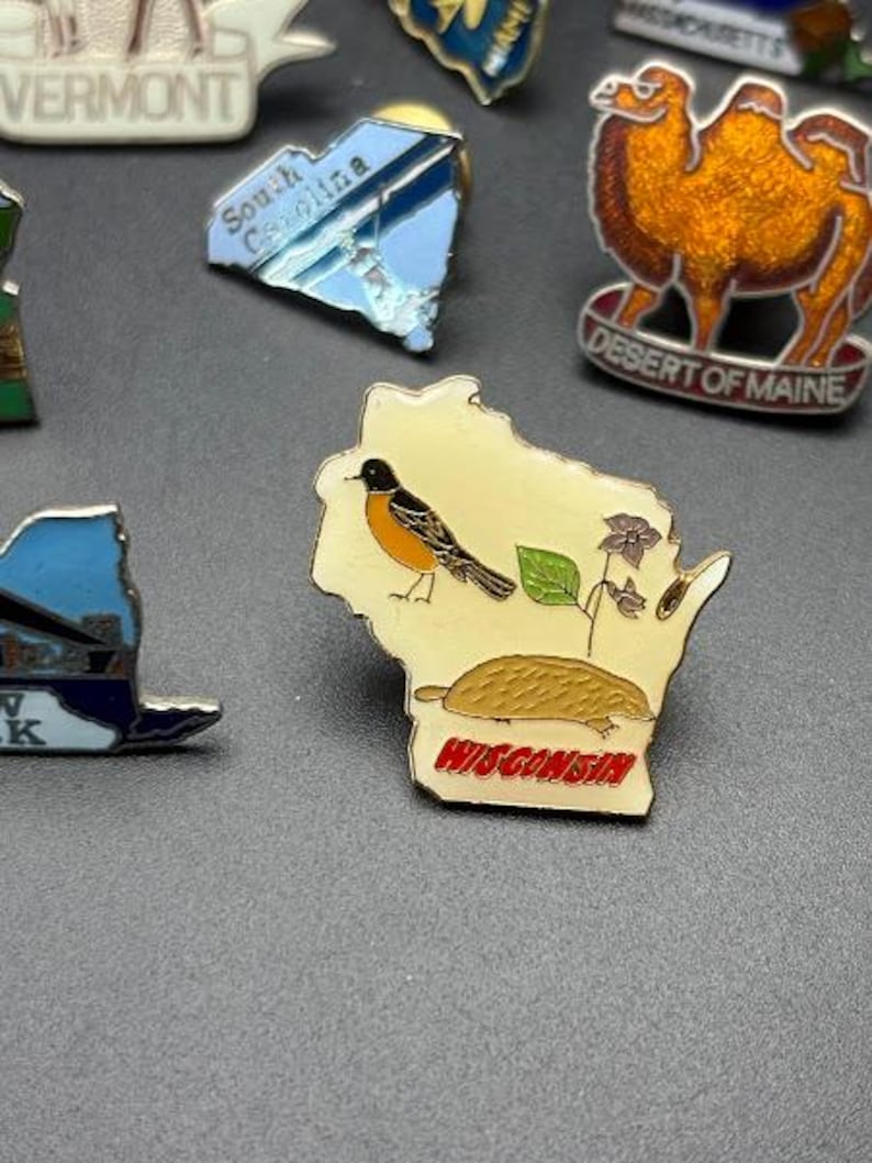 Wisconsin Forward Pin Vintage State Pins - Etsy