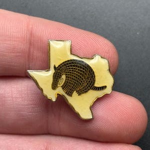 Vintage Texas Armadillo Pin Texas State Map Badge