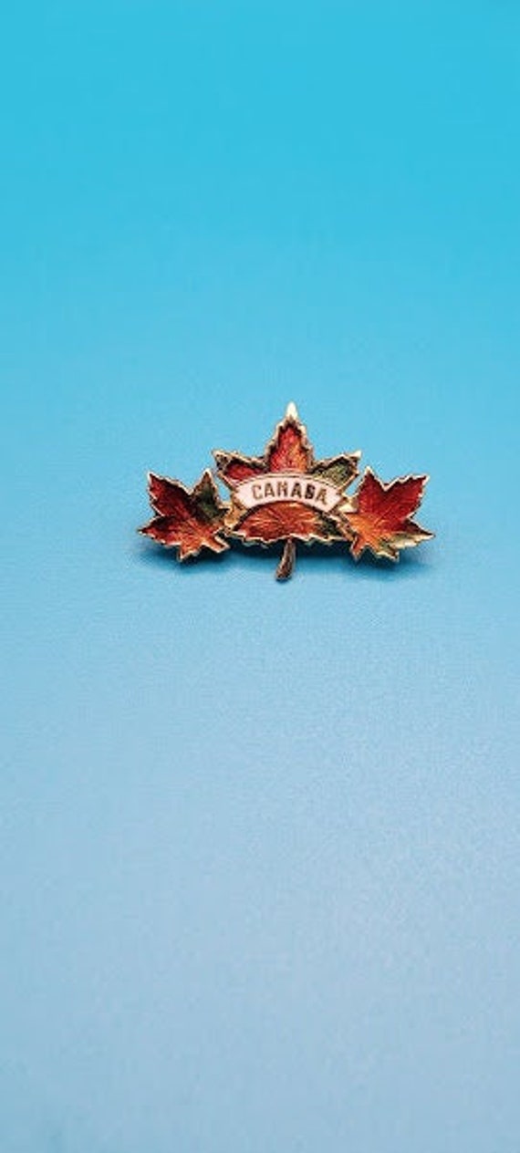 Vintage Canada Maple Leaf Colorful Brooch Lapel P… - image 1