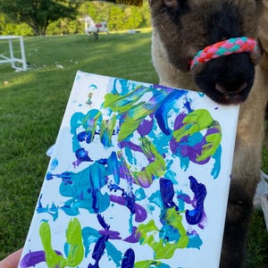 Op de afbeelding: Een wit canvas met abstracte verfstreken in tinten blauw, groen en paars. Op de achtergrond een schaap met een kleurrijke neusring. Het kunstwerk wordt door een persoon vastgehouden.